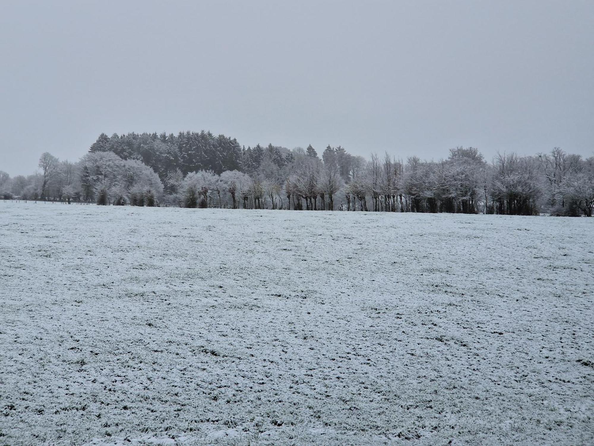 Habitat Bed and Breakfast Momignies Exteriör bild